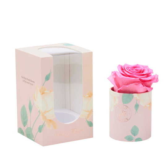 Blanche Uno Pretty in Pink