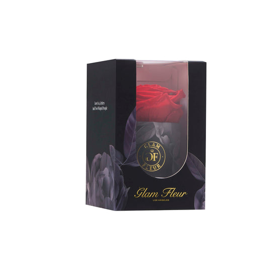 Uno Bundle Passion