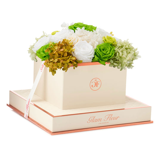 Montagé Square Green Fusion