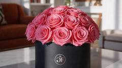 Refresh Your Home Decor