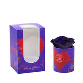 Amore Uno Blue Ocean