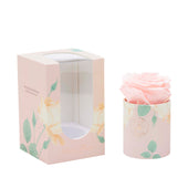 Blanche Uno Baby Pink