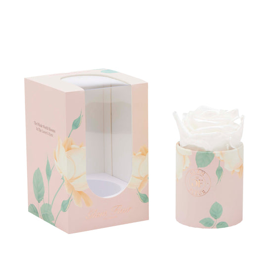 Blanche Uno Glow White