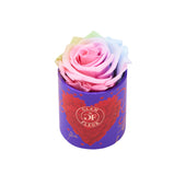 Amore Uno Candy Rainbow