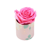 Blanche Uno Pretty in Pink