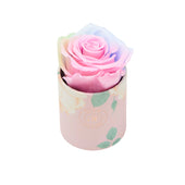 Blanche Uno Candy Rainbow