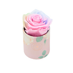 Blanche Uno Candy Rainbow