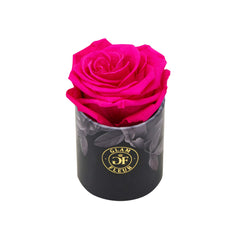 Noir Uno Fuchsia