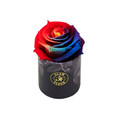 Noir Uno Raspberry Splash