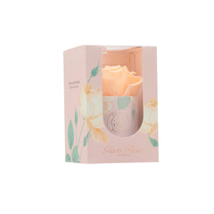 Uno Blanche Peach Bundle