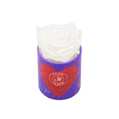 Amore Uno Glow White