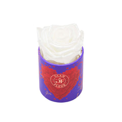 Amore Uno Glow White