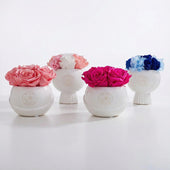 Bouton Vase Fuchsia