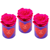 Uno Amore Fuchsia Bundle