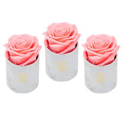 Uno Marble Light Pink Bundle