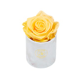 Marble Uno Orange Lacoma