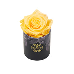 Noir Uno Orange Lacoma