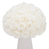 Ivoire Grande Le Luxe White