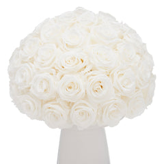 Ivoire Grande Le Luxe White