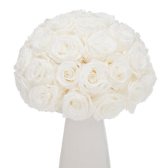 Ivoire Chic Le Luxe White
