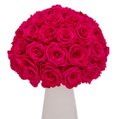 Ivoire Chic Le Luxe Fuchsia