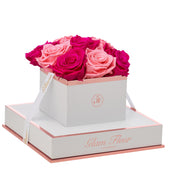 Blanche Chic Fuchsia and Light Pink Preserved Roses