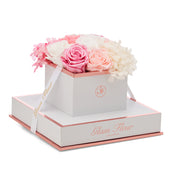 Blanche Chic Pink Ivory Fusion Preserved Flowers