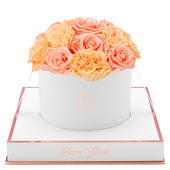 Blanche Round Van Gogh Peach and Coral Preserved Roses