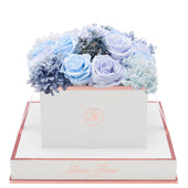 Blanche Square Blue Lavender Fusion Preserved Flowers