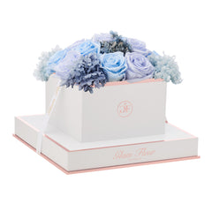 Blanche Square Blue Lavender Fusion Preserved Flowers