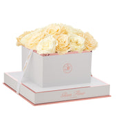 Blanche Square Ivory and Creme Preserved Roses