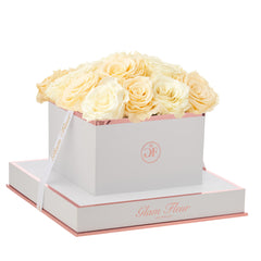 Blanche Square Ivory and Creme Preserved Roses