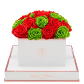 Blanche Square Light Red and Green Preserved Roses