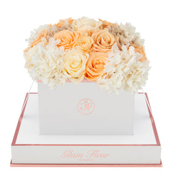 Blanche Square Peach Creme Fusion Preserved Flowers
