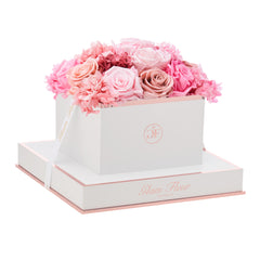 Blanche Square Pink Fusion Preserved Flowers