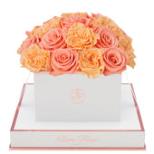 Blanche Square Van Gogh Peach and Coral Preserved Roses