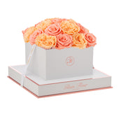 Blanche Square Van Gogh Peach and Coral Preserved Roses