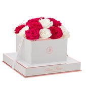 Blanche Square White and Fuchsia Preserved Roses