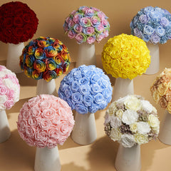 Ivoire Grande Le Luxe Coral