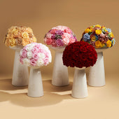 Ivoire Grande Le Luxe Coral