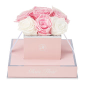 Rosé Chic Glow Pink and Glow White