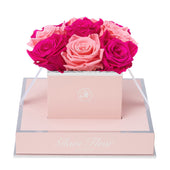 Rosé Chic Fuchsia and Light Pink