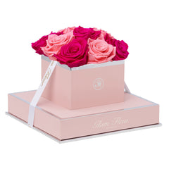 Rosé Chic Fuchsia and Light Pink