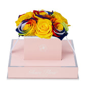 Rosé Chic Rainbow and Yellow