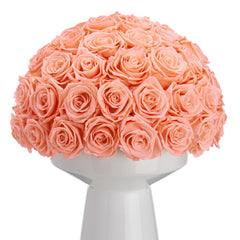 Ivoire Grande Le Luxe Coral