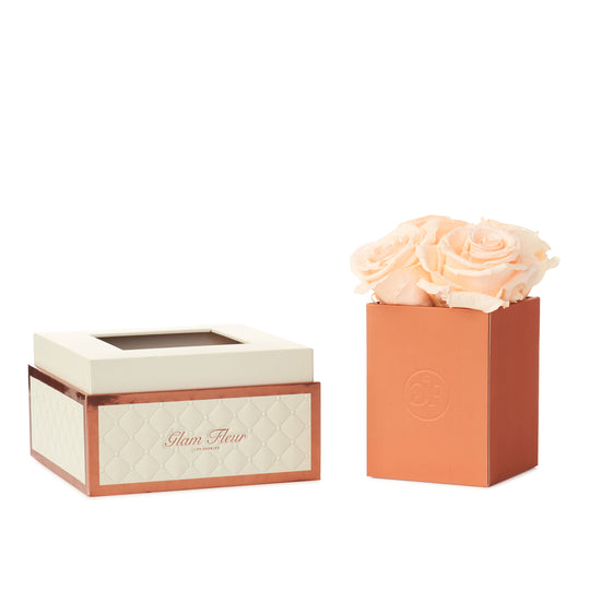 Montagé Petite Peach