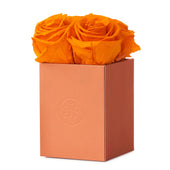 Montagé Petite Orange