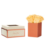 Montagé Petite Salmon