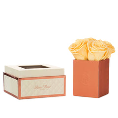 Montagé Petite Salmon