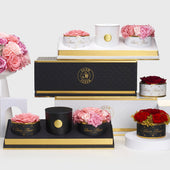 Blanche Glam Trio Pink